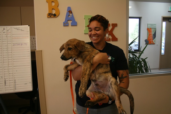 Students volunteer at Best Friends Animal Sanctuary for fall break